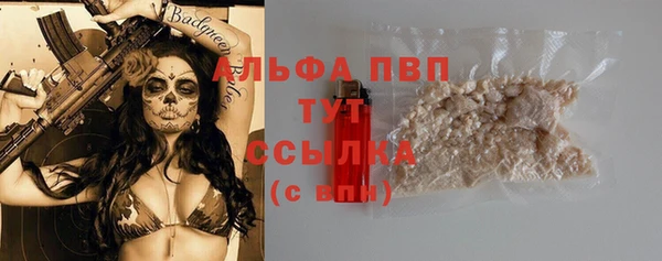 эйфоретик Арсеньев
