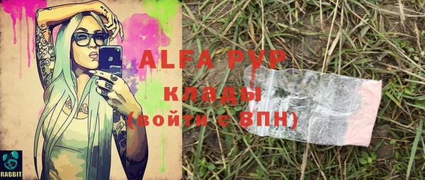 эйфоретик Арсеньев