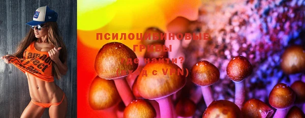 эйфоретик Арсеньев