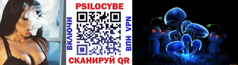 Псилоцибиновые грибы MAGIC MUSHROOMS  продажа наркотиков  Сусуман 